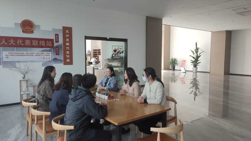 MG动画与Flash：差异解析与应用场景详解